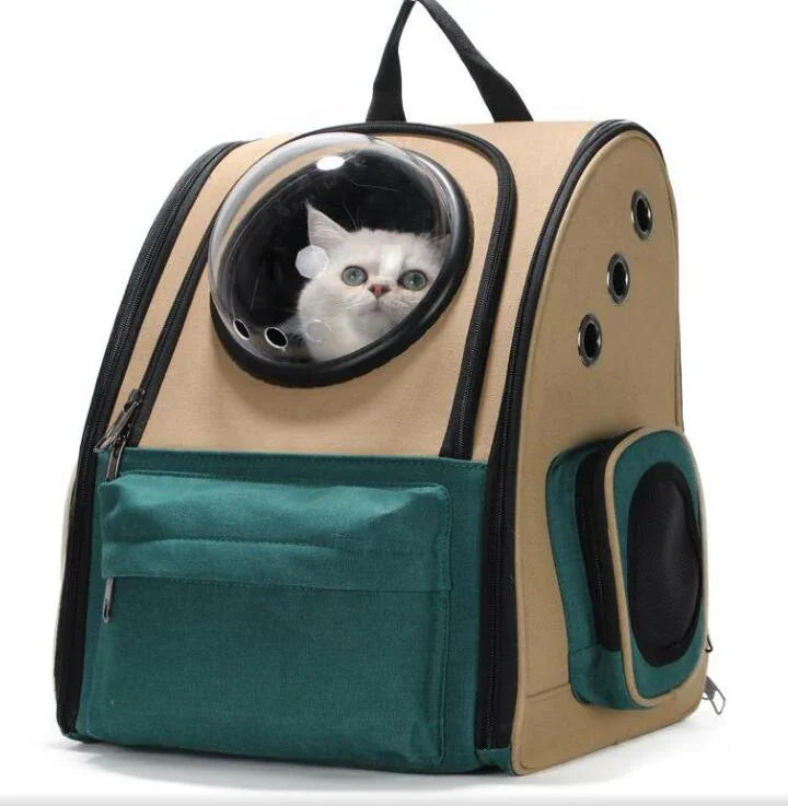 White cat inside a beige and green pet backpack carrier with bubble window and ventilation holes