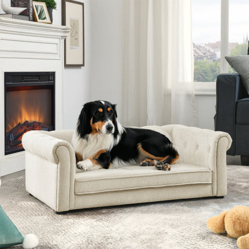 Dog lying on a small beige couch in a living room with a fireplace and window in the background.