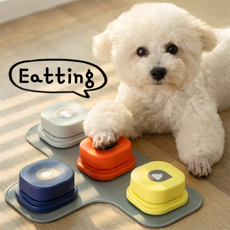 White dog interacting with colorful pet toys on a wooden floor