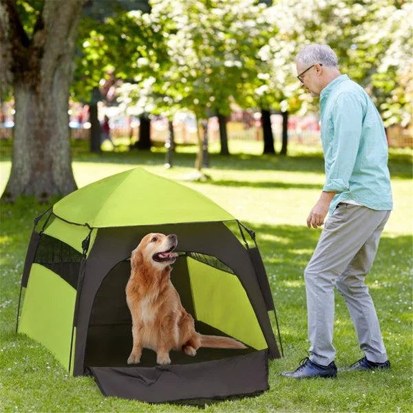 Golden retriever in portable dog tent outdoors with man in park, pet outdoor gear
