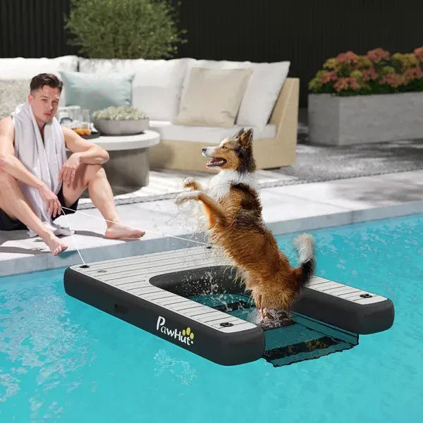 Dog climbing onto floating pet pool ramp next to man by poolside outdoor furniture