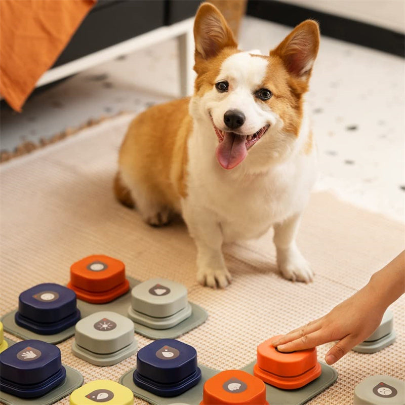 Dog playing with colorful paw pads on a carpeted floor