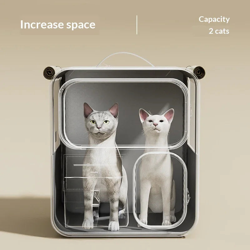 Two cats inside a spacious transparent cat carrier, capacity for two cats, pet travel accessory.