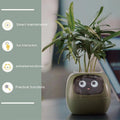Smart plant pot with animated face on a table, featuring text about smart maintenance, fun interaction, animated emoticons, and practical functions.
