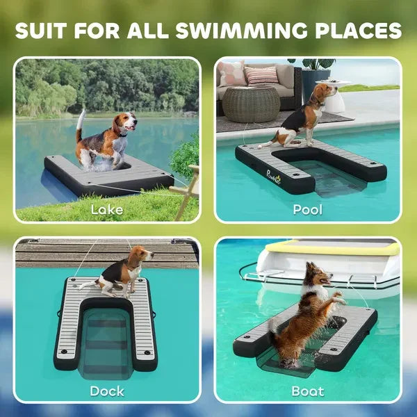 Dogs using floating pet ramp at lake, pool, dock, and boat for easy water access.