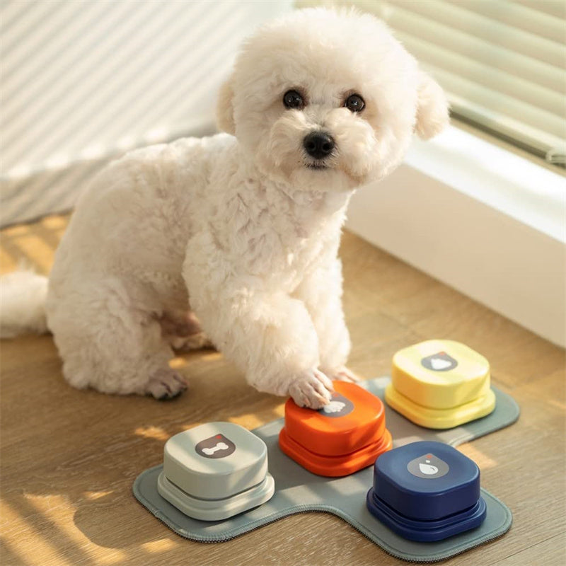 White dog interacting with colorful pet toys on a wooden floor.