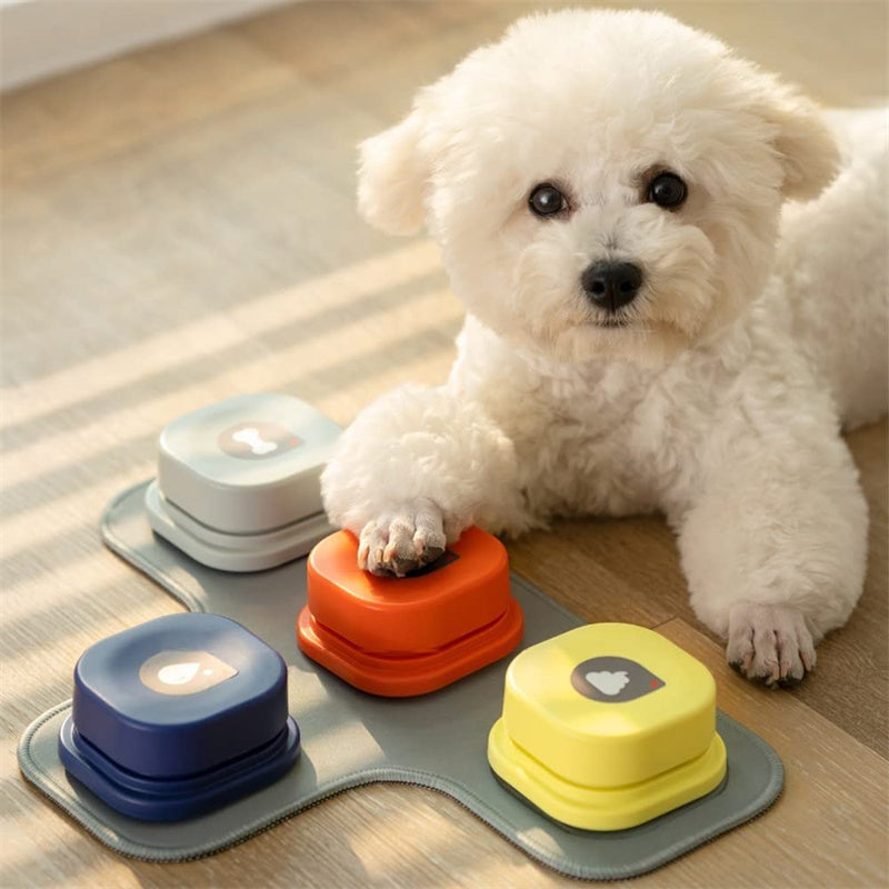 White dog interacting with colorful pet toys on a mat