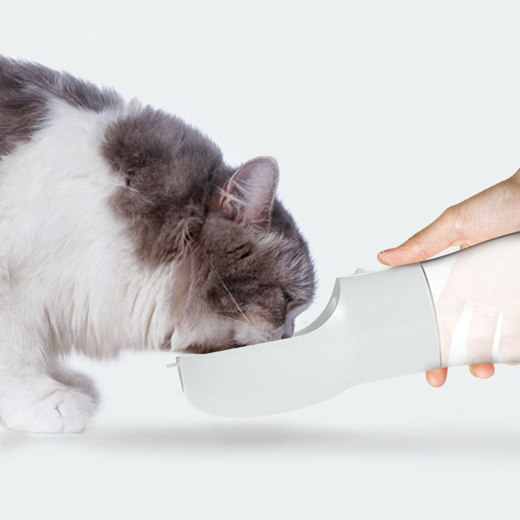 Cat drinking from a white bowl held by a person on a light gray background