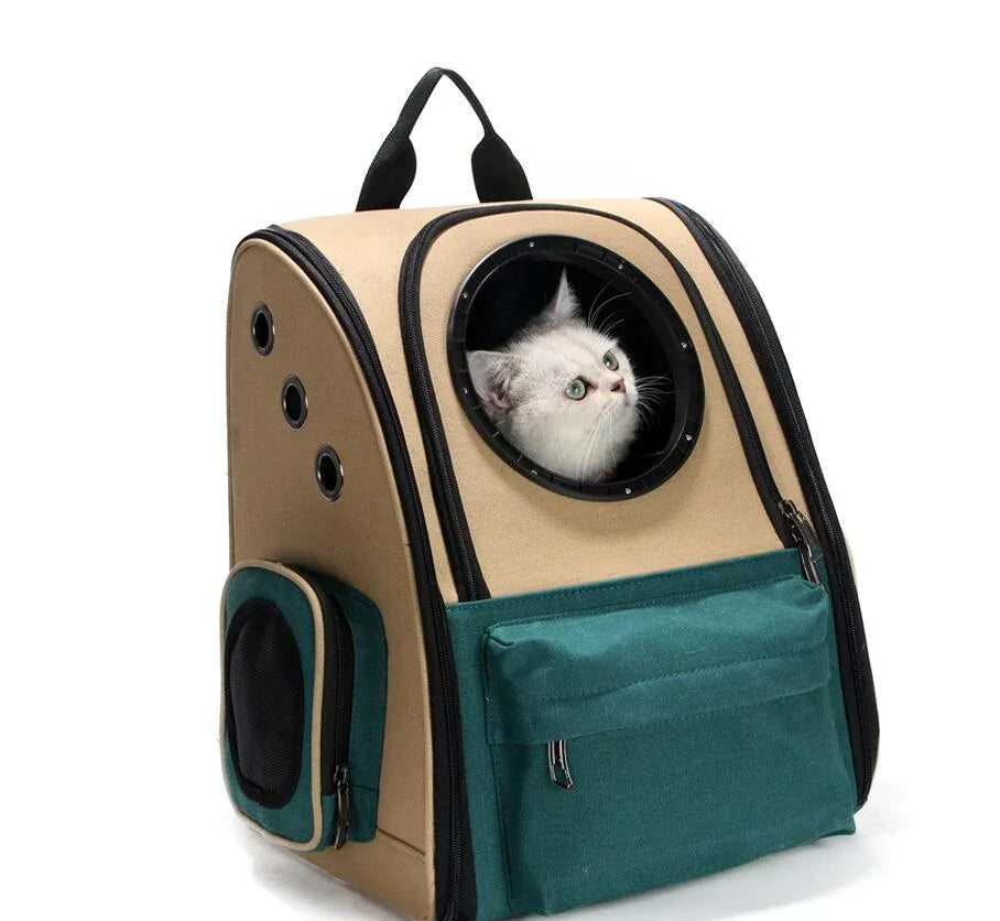 Cat in a beige and green pet travel backpack with breathable window, ideal for outdoor trips.