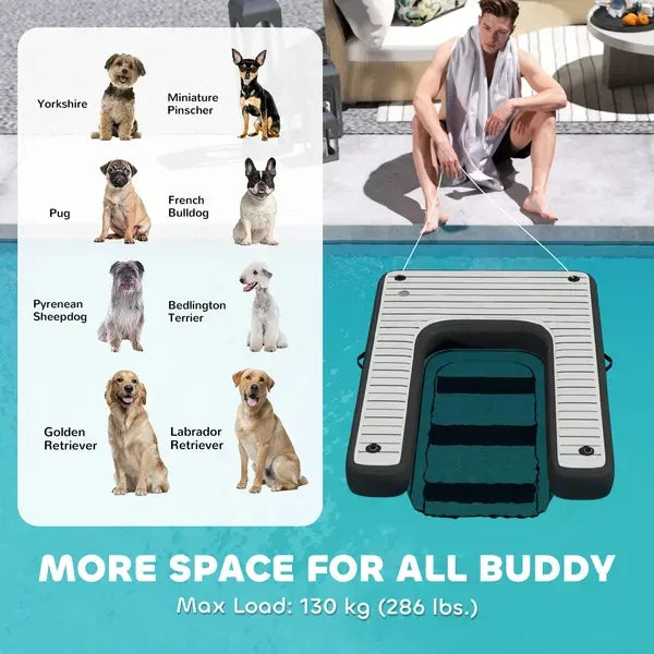 Man with dog breeds chart beside floating pet pool ramp, 130 kg max load capacity.