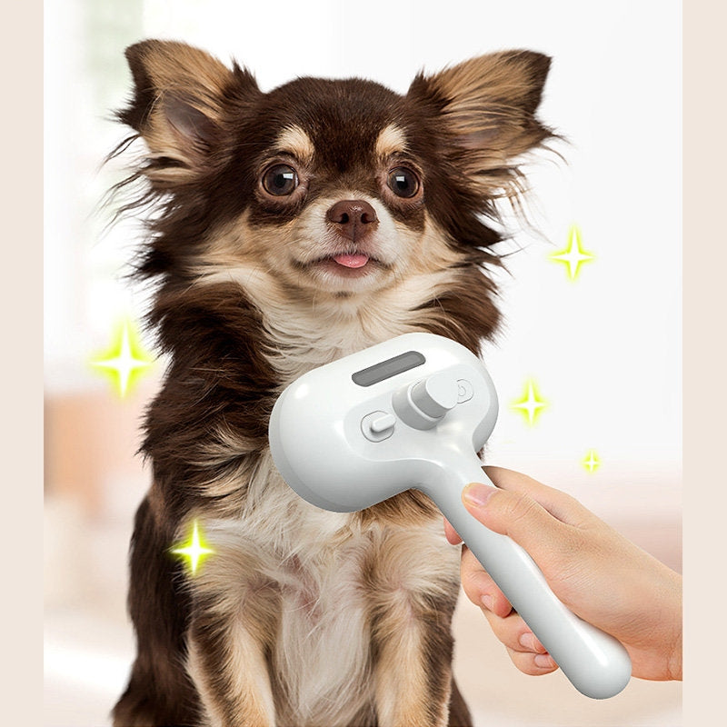Dog being groomed with a white grooming tool on a light background
