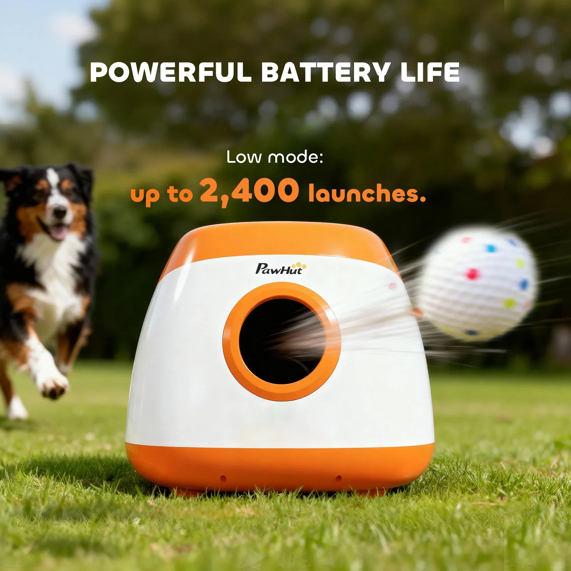 Automatic dog ball launcher with powerful battery life, dog running on grass beside toy