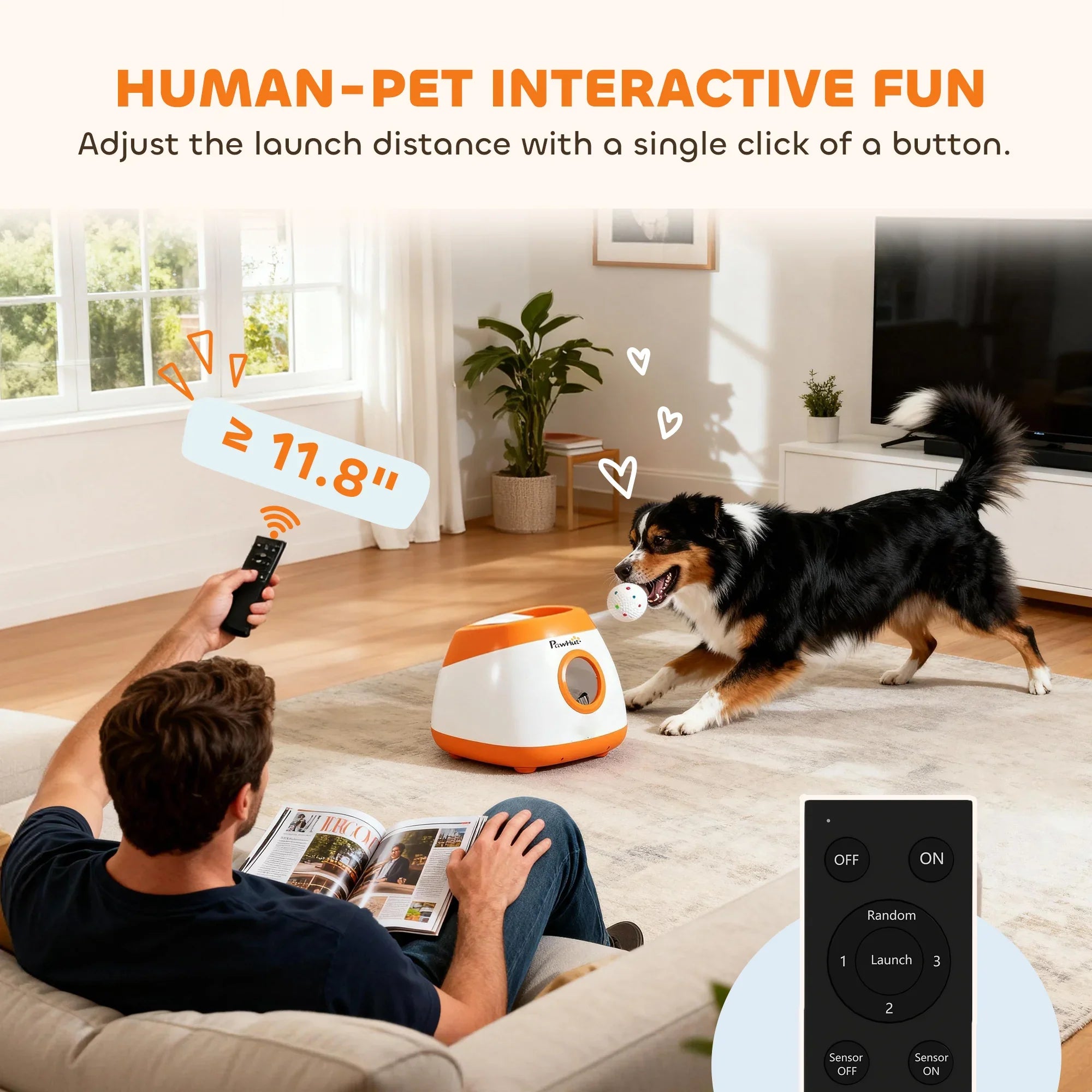 Man using remote-controlled automatic ball launcher for dog indoor interactive fetch play