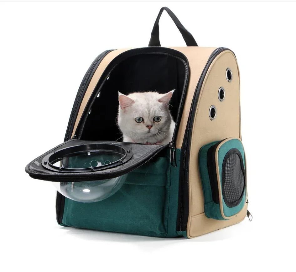 White cat sitting in a teal and beige pet carrier backpack with ventilation holes and a bubble window.