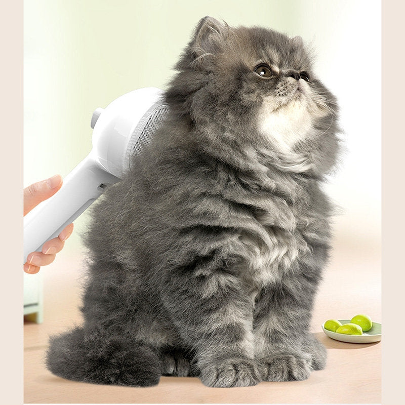 Cat being groomed with a hair dryer on a light-colored surface.