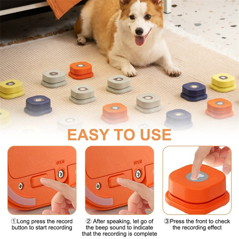 Dog with recording devices on the floor and instructions on how to use them.