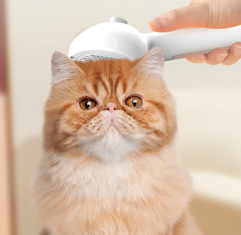 Orange and white cat being groomed with a hair dryer held by a person.