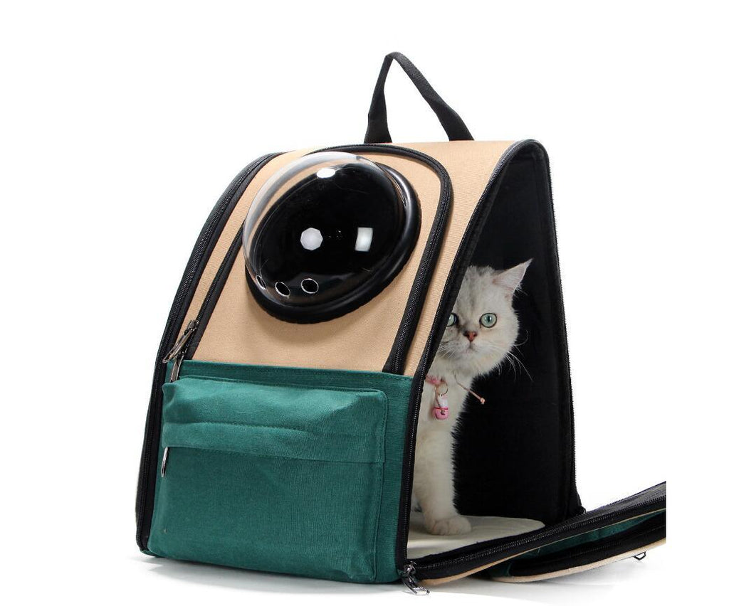 White cat inside a beige and green pet carrier backpack with bubble window.