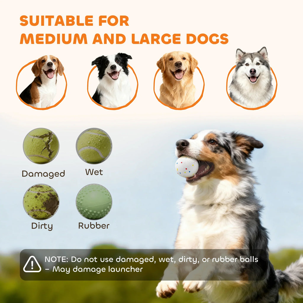 Happy medium and large dogs with safe ball types for fetch, avoid damaged wet dirty rubber balls.