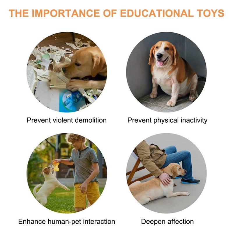 Educational toys for dogs with benefits listed on a white background