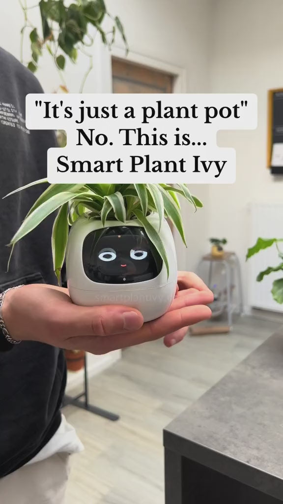 Smart AI Planter with Sensors & Interactive Display